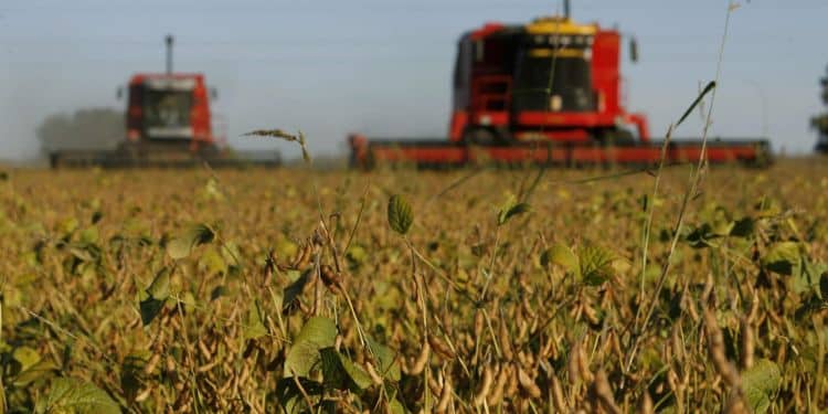 Las ventas argentinas de soja se disparan tras la adopción del “dólar soja”.