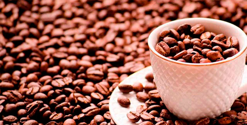 Exportaciones de café hondureño bajan 51% en más de 2 meses de ciclo actual