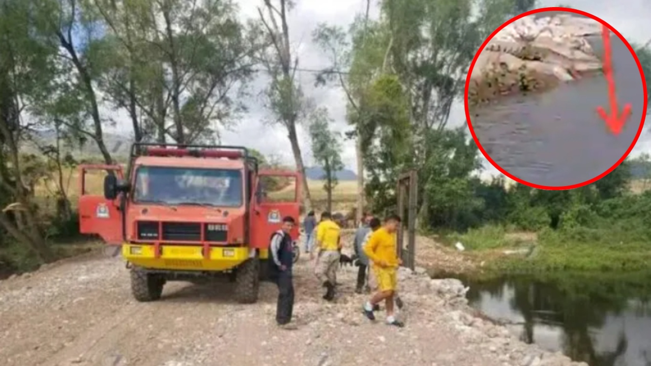 Bomberos alertan sobre la presencia de cocodrilos en ríos de Cantarranas