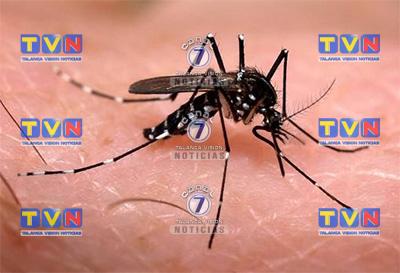 Dengue aumenta casi un 50 % en último mes en Honduras