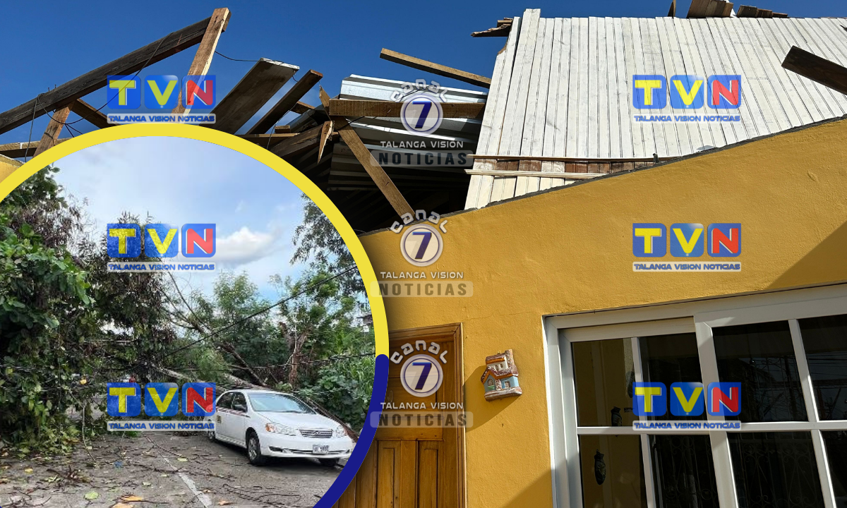 Vientos huracanados causan devastación en Puerto Cortés y Choloma