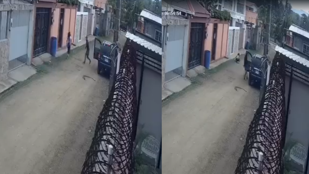 Menor logra escapar de intento de rapto en Puerto Cortés: “¡Ayuda!” gritó desesperadamente.