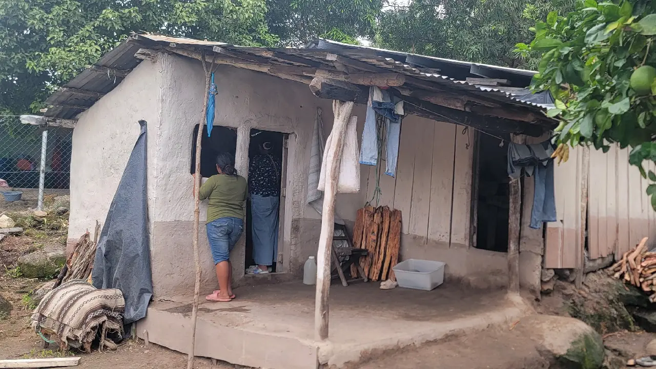 Niño de 8 años fallece tras ser golpeado por una rama mientras recolectaba ocote con su padre en Yoro.