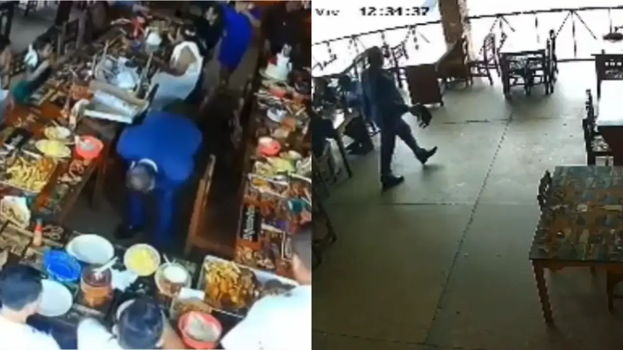 Denuncian agresión contra un gato dentro de restaurante en Tegucigalpa.